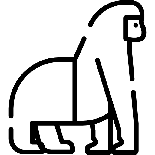 gorila Special Lineal Ícone