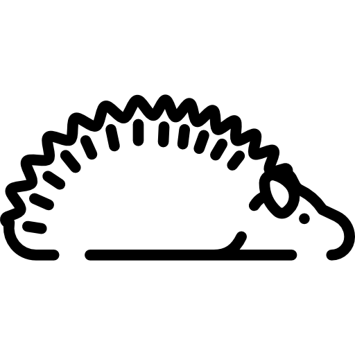 ハリネズミ Special Lineal icon