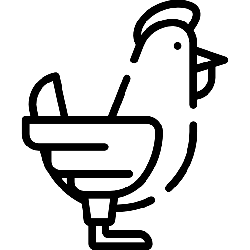 Hen Special Lineal icon