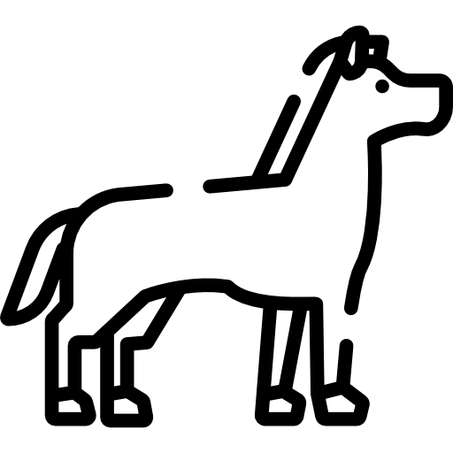 pferd Special Lineal icon