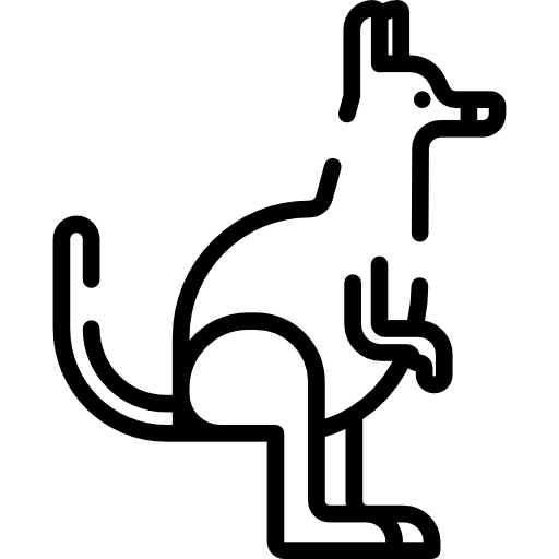 Кенгуру Special Lineal иконка