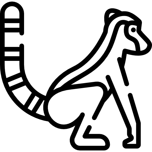 lemur Special Lineal ikona