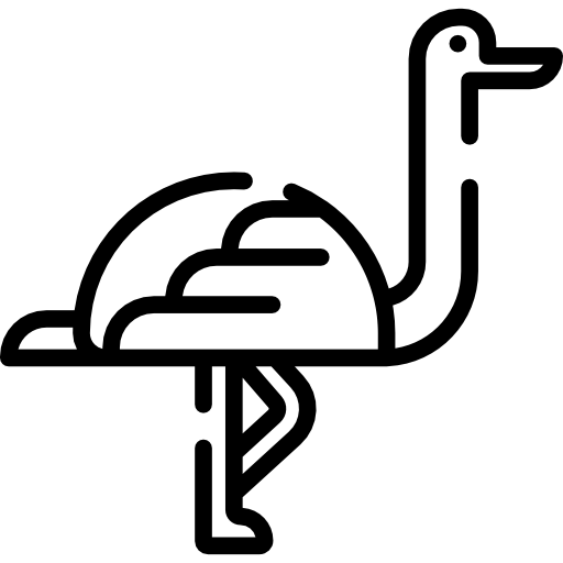 Ostrich Special Lineal icon