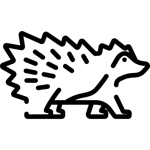 Porcupine Special Lineal icon