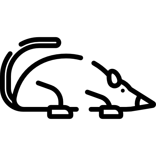 spitzmaus Special Lineal icon