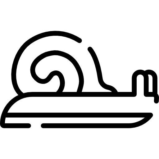 Snail Special Lineal icon