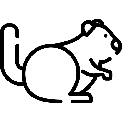 eekhoorn Special Lineal icoon