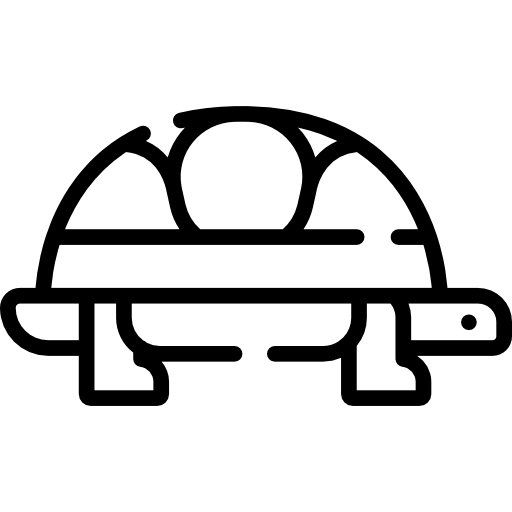 Turtle Special Lineal icon