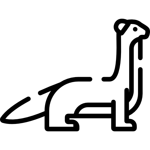 Weasel Special Lineal icon