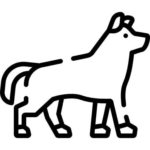 늑대 Special Lineal icon