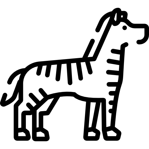 zebra Special Lineal ikona