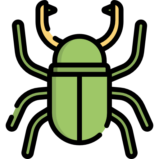 Beetle Special Lineal color icon