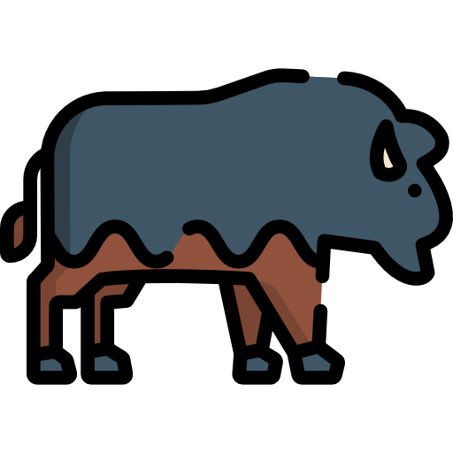 bizon Special Lineal color ikona