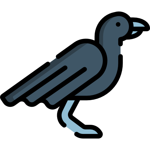 Crow Special Lineal color icon