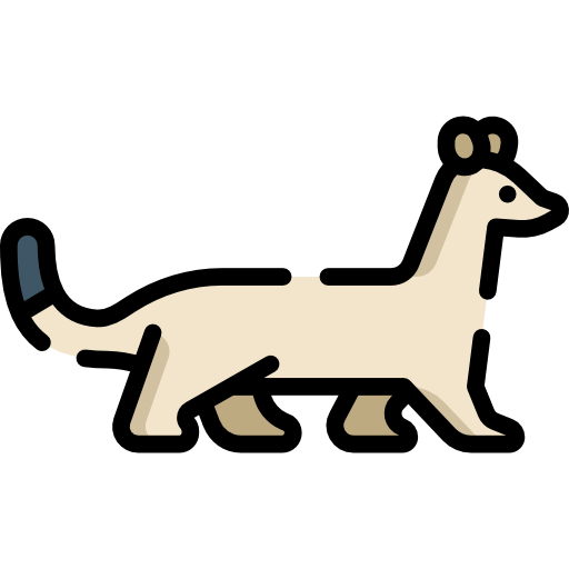 Ermine Special Lineal color icon