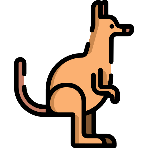 känguru Special Lineal color icon