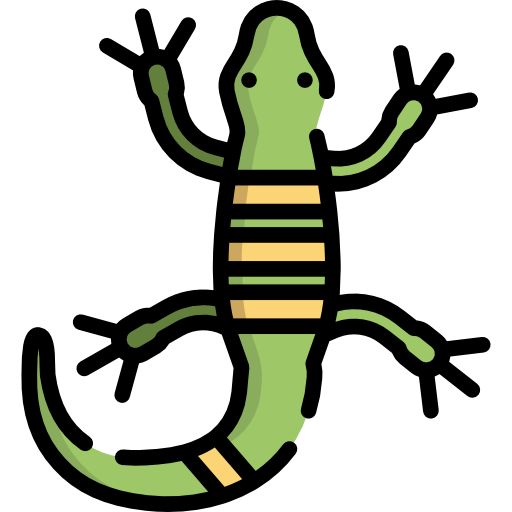 lagarto Special Lineal color Ícone
