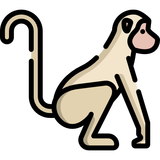 Monkey Special Lineal color icon