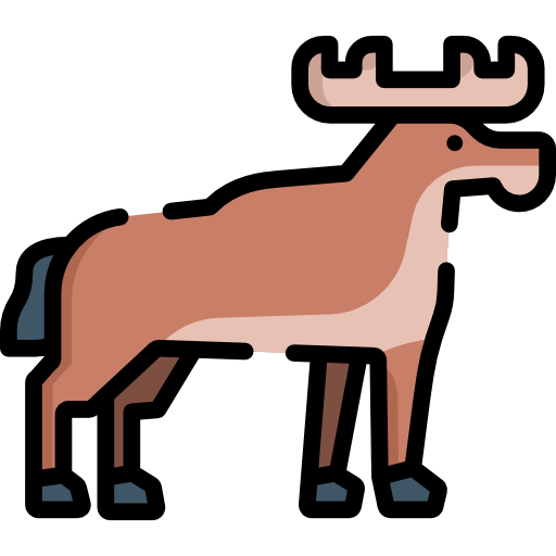 Moose Special Lineal color icon