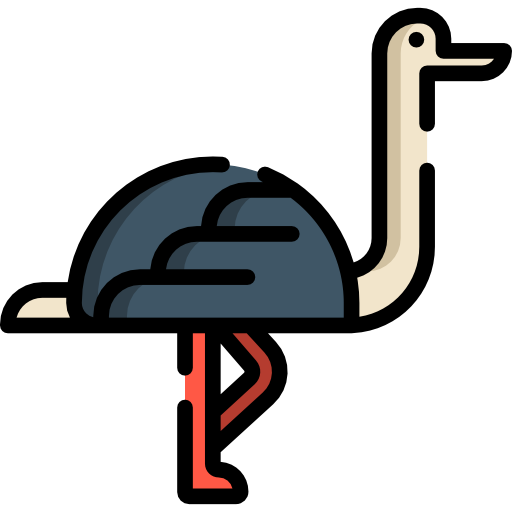 Ostrich Special Lineal color icon