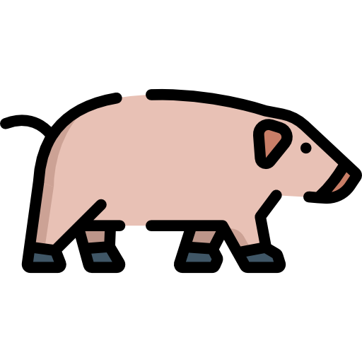 Pig Special Lineal color icon