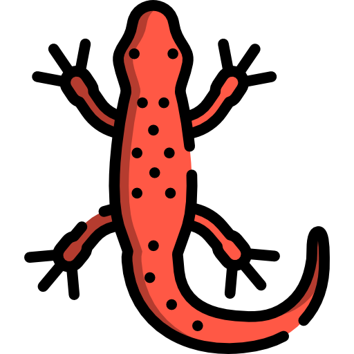 salamandra Special Lineal color ikona