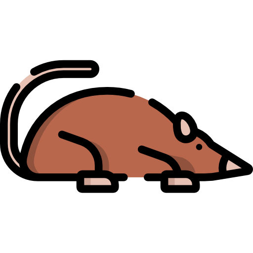 Shrew Special Lineal color icon