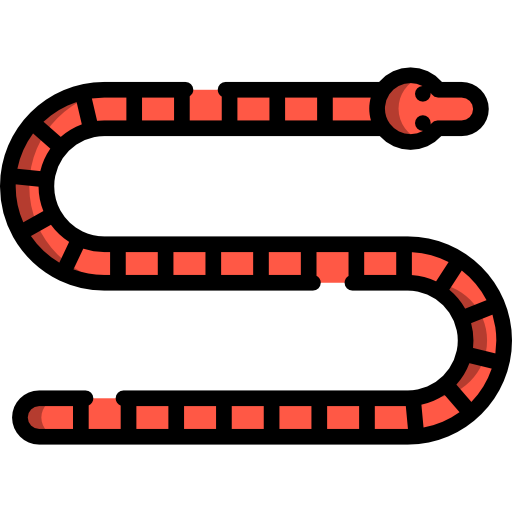 Snake Special Lineal color icon