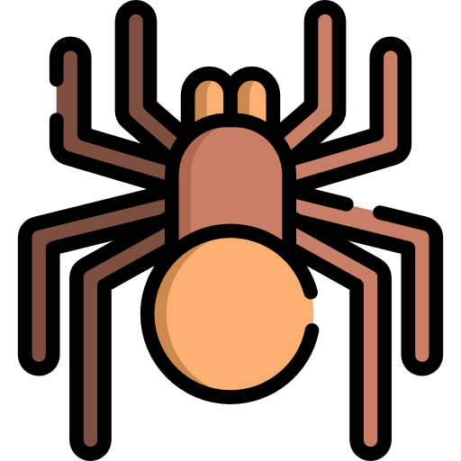 거미 Special Lineal color icon