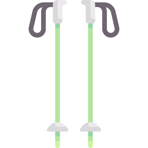 ski stöcke Special Flat icon