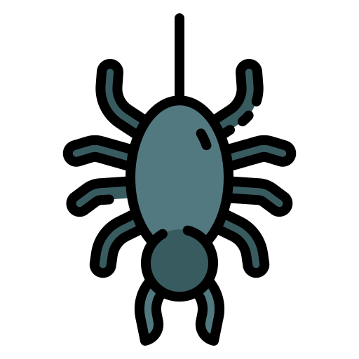 Spider Good Ware Lineal Color icon