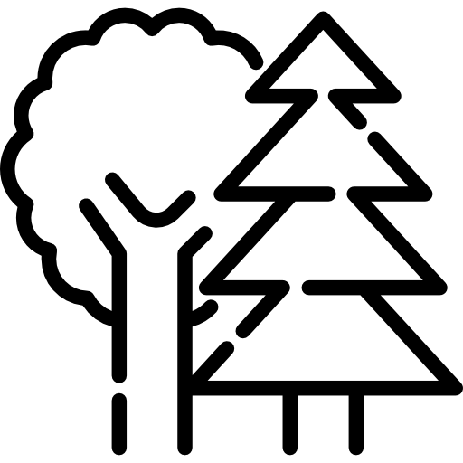 Árboles Special Lineal icono