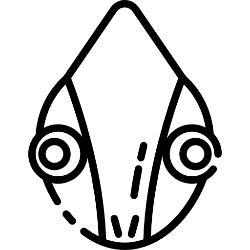 camaleón Special Lineal icono