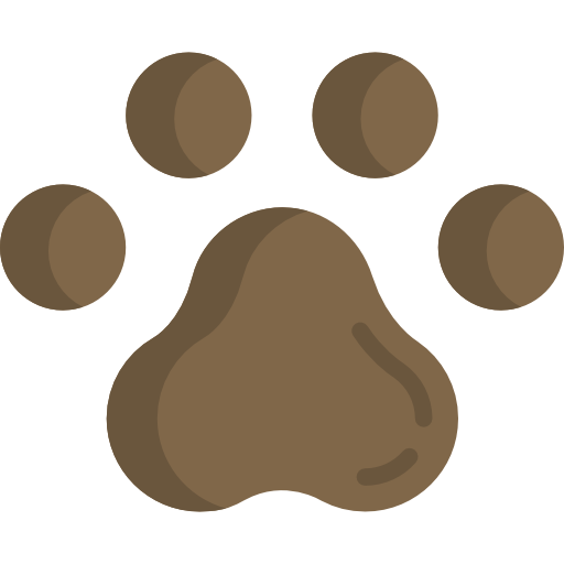 pawprint Special Flat icon