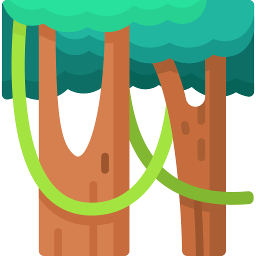 Rainforest Special Flat icon