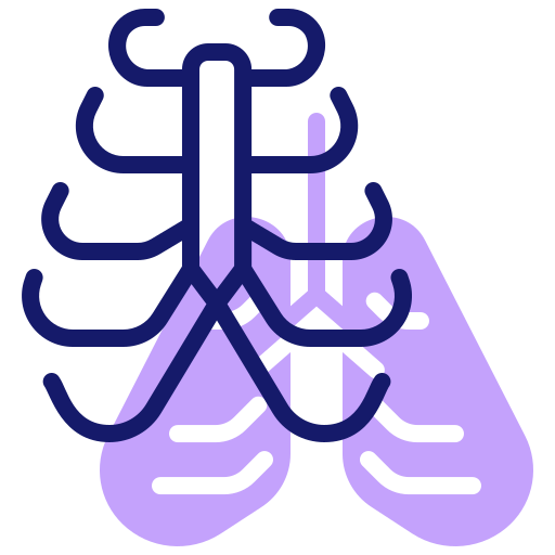 thorax Inipagistudio Lineal Color icon