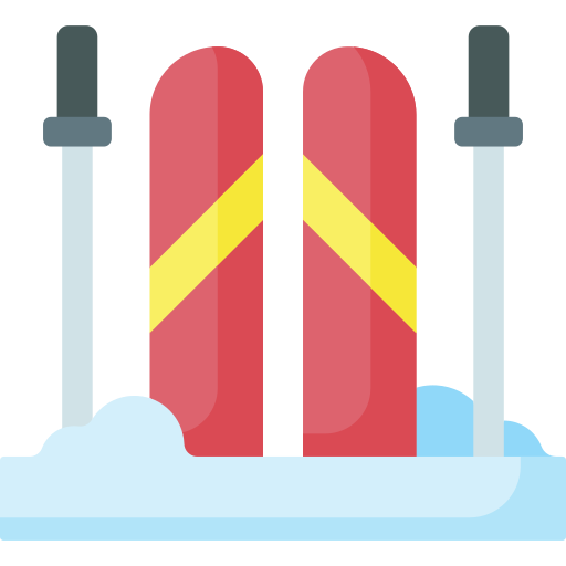 Skiing Special Flat icon