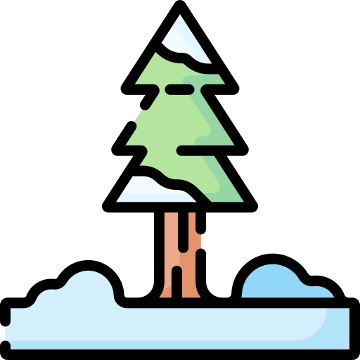 Pine tree Special Lineal color icon