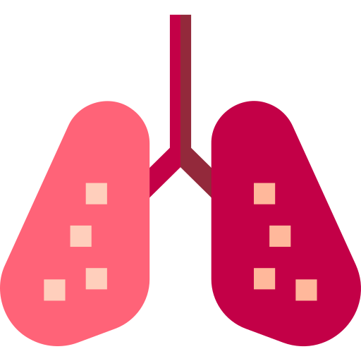 Lungs Basic Straight Flat icon