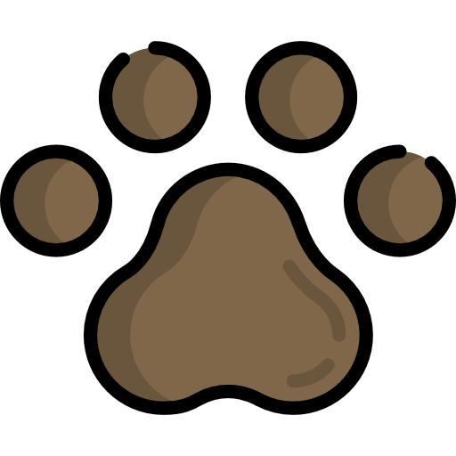 Pawprint Special Lineal color icon