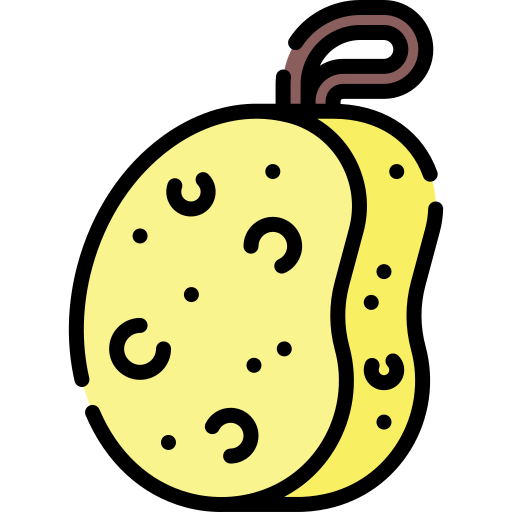 Sponge Special Lineal color icon