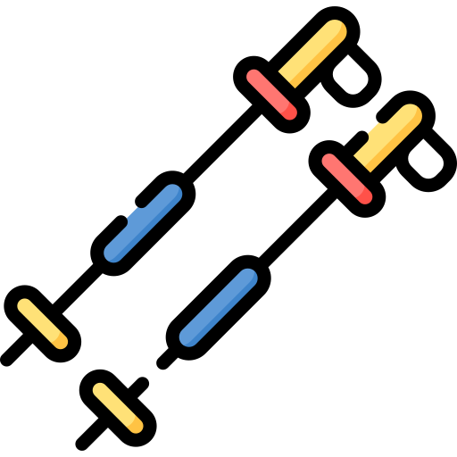 bastoncini da sci Special Lineal color icona