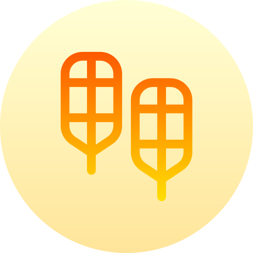 Snowshoes Basic Gradient Circular icon