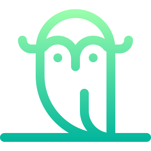 Owl Basic Gradient Lineal color icon