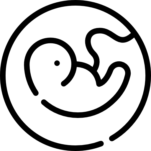 el embarazo Special Lineal icono