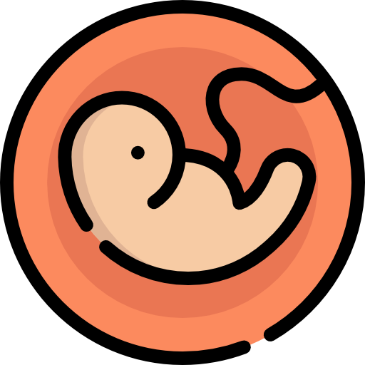 el embarazo Special Lineal color icono