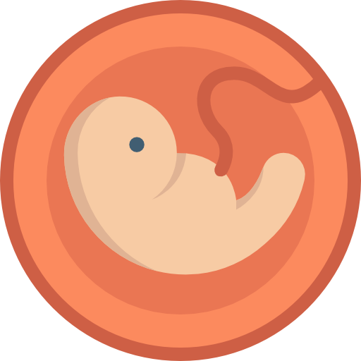 Pregnancy Special Flat icon