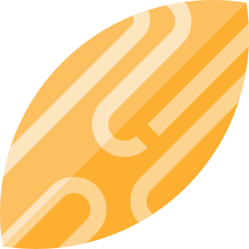 Skimboard Basic Straight Flat icon