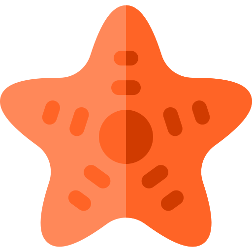 Морская звезда Basic Rounded Flat иконка