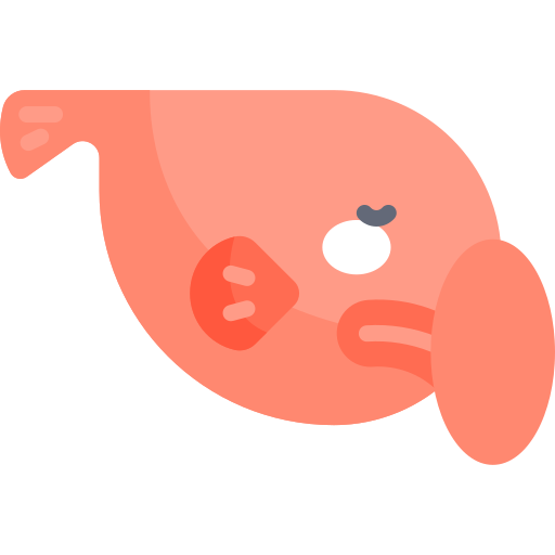 blobfish Kawaii Flat icono